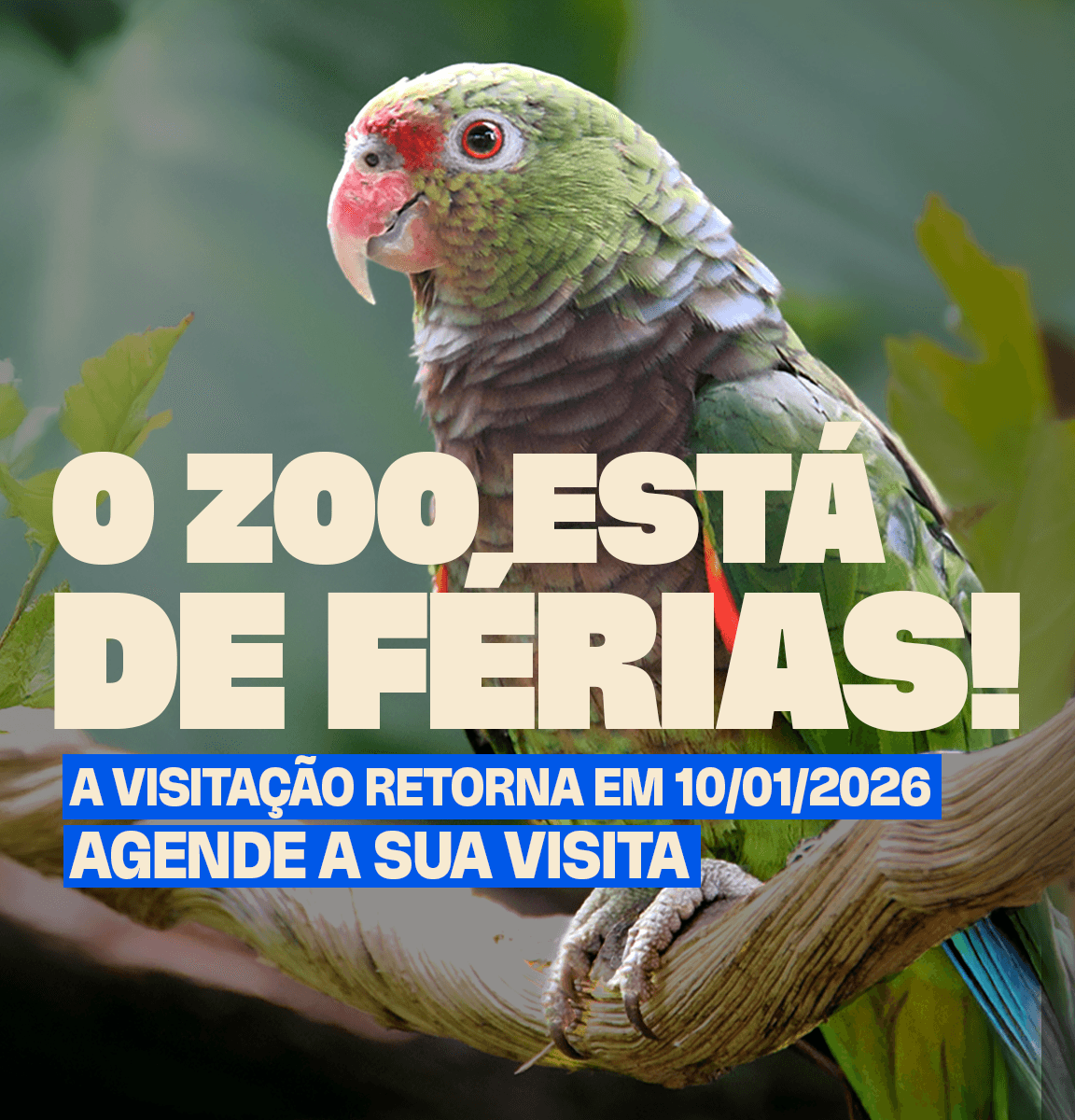 Zoo de Férias