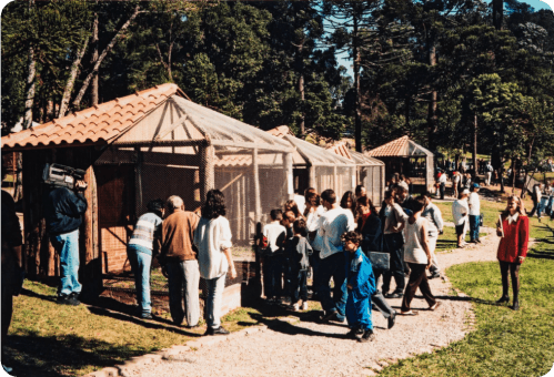 Inauguração do UCS Zoo