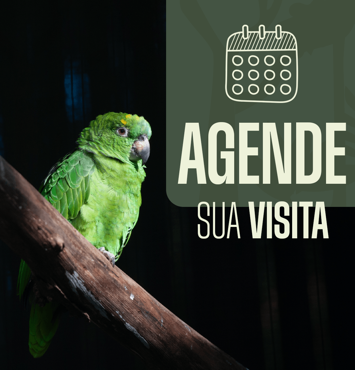 Agende sua visita