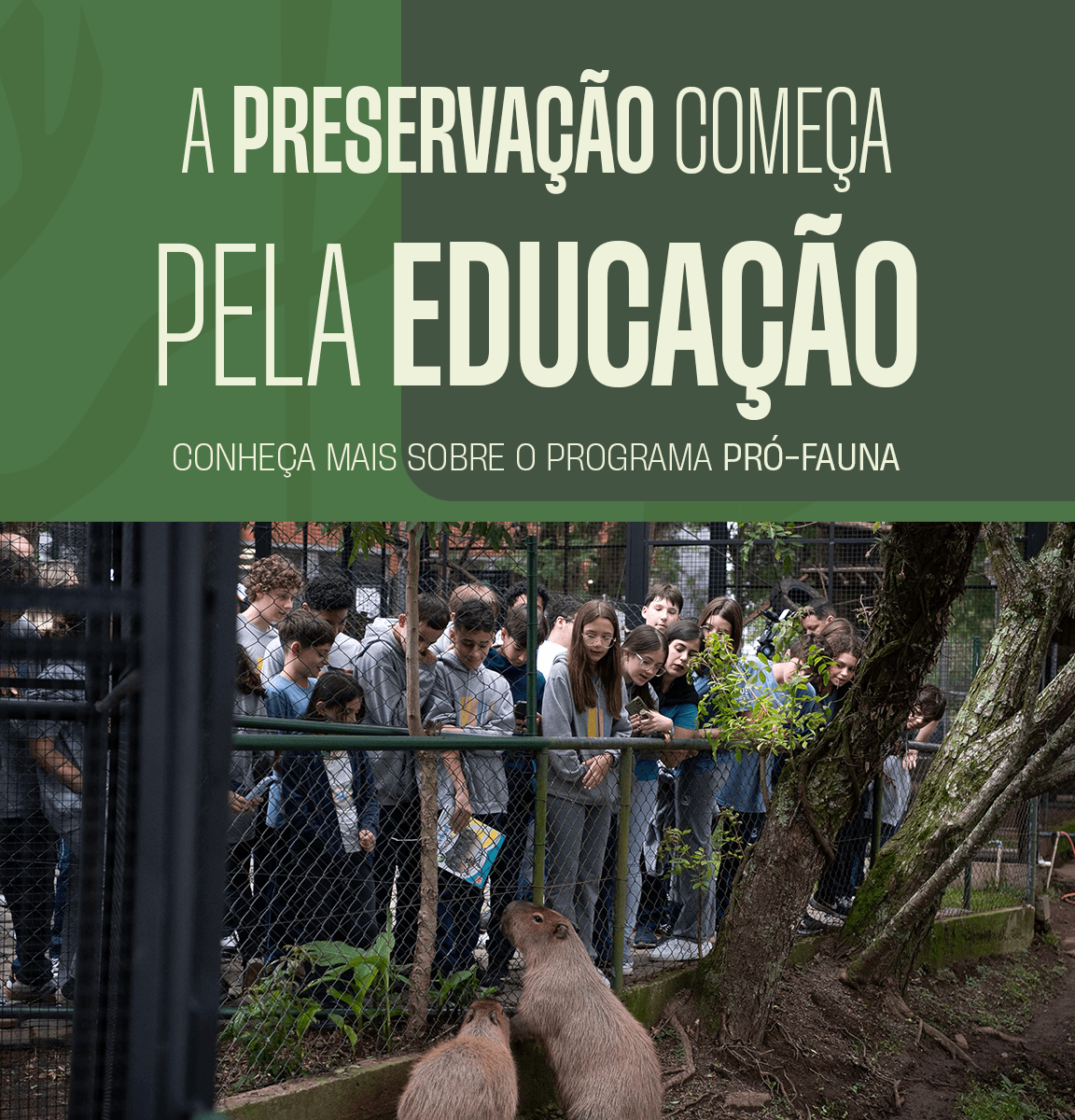 Educação