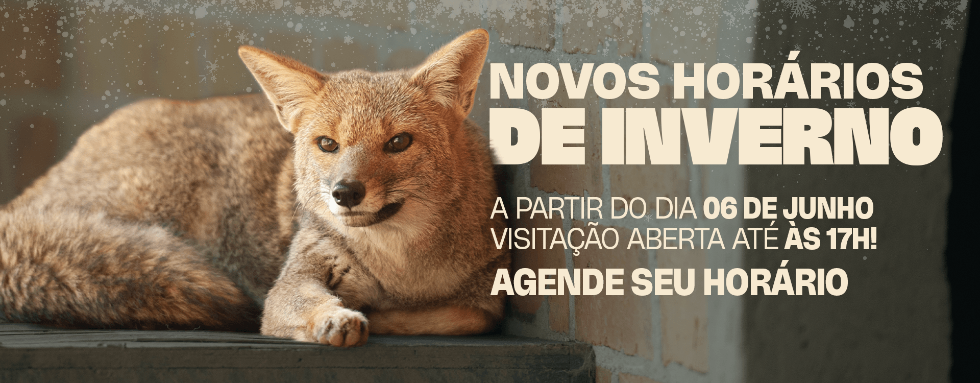 Inverno no Zoo